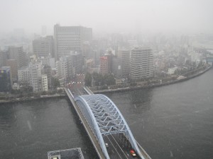 IMG_1965